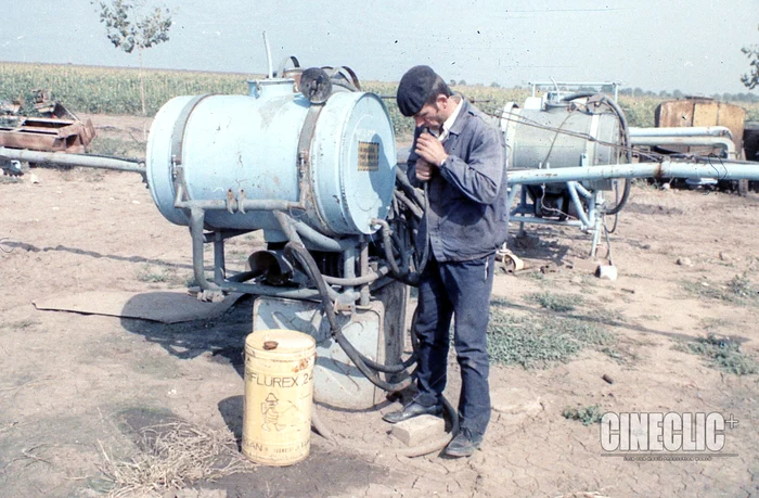 Robotníci na plantážach FOTO Cineclic